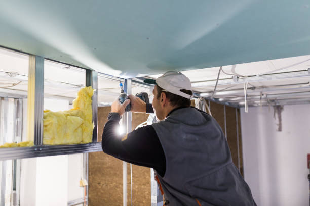 Best Insulation Maintenance and Repair in Shoreview, MN